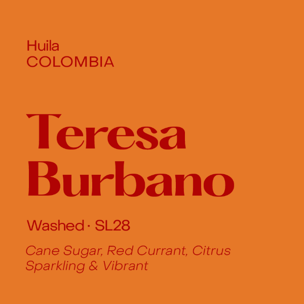 Photo of Subtext - Teresa Burbano ( Default Title ) [ Subtext Coffee Roasters ] [ Coffee ]