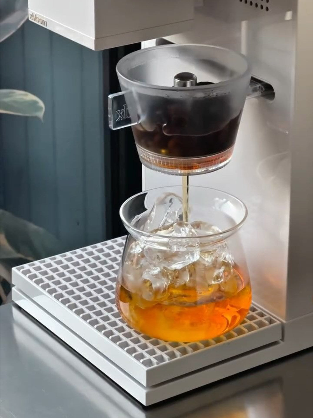 茶 moumom xBloom Studio Omni Tea Brewer / Parts | Eight Ounce Coffee