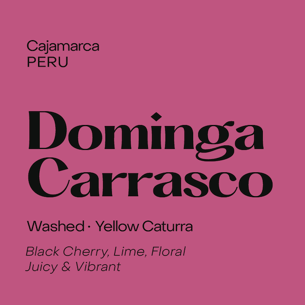 Subtext - Dominga Carrasco