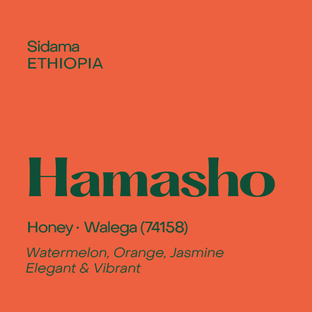 Photo of Subtext - Hamasho ( ) [ Subtext Coffee Roasters ] [ Coffee ]