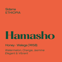 Photo of Subtext - Hamasho ( ) [ Subtext Coffee Roasters ] [ Coffee ]