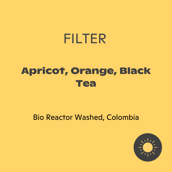 Subtext - Frank Torres: Bio Reactor Washed