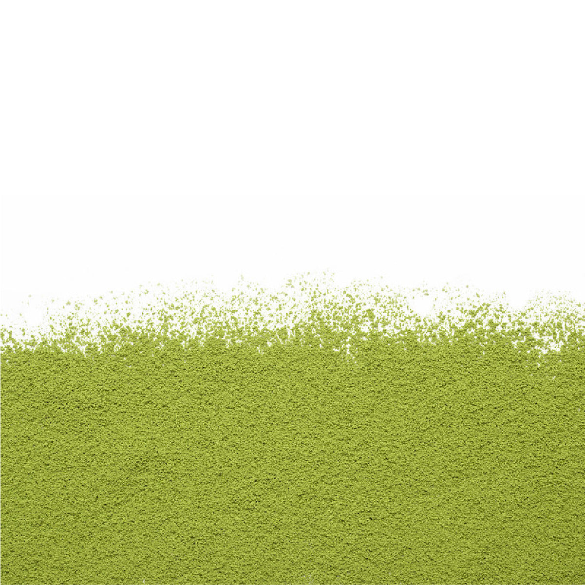 Camellia Sinensis - Matcha Uji (40g)