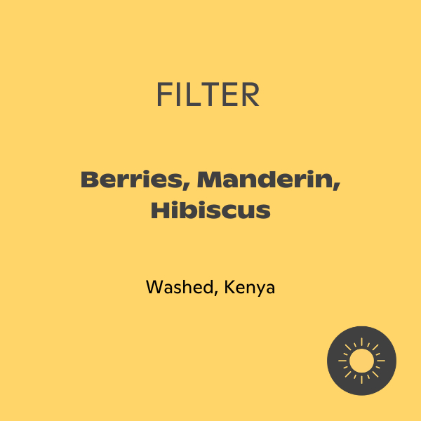 94 Celcius - Masai Mara Bloom