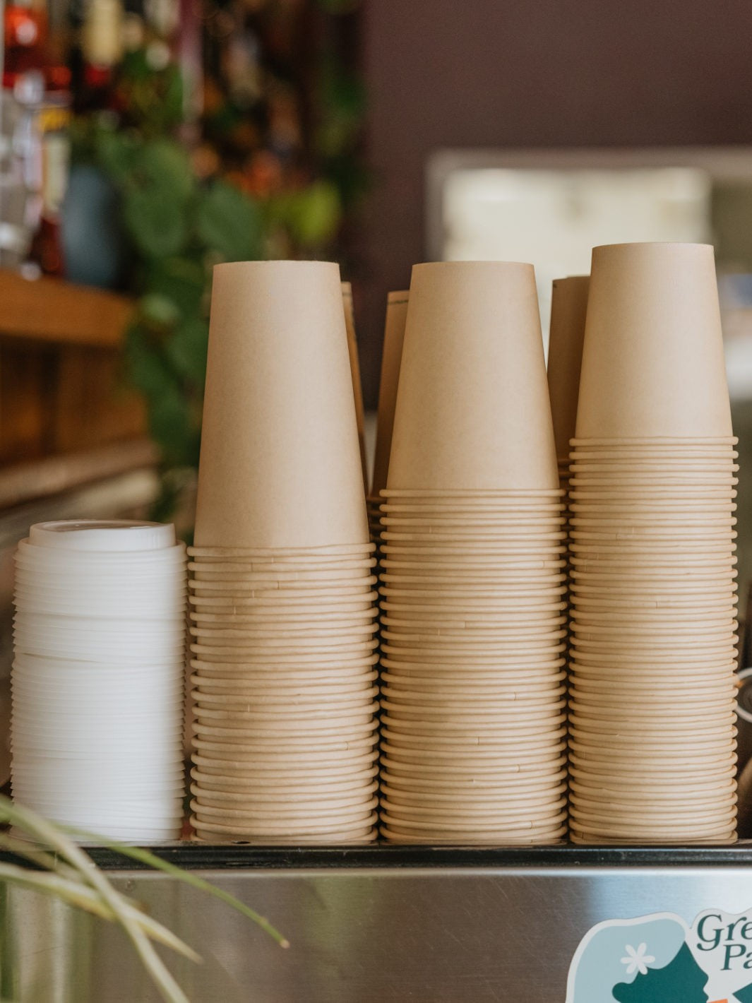 LITTLE GREEN PANDA Home Compostable Paper Cup (⌀90mm) (1000-Pack)