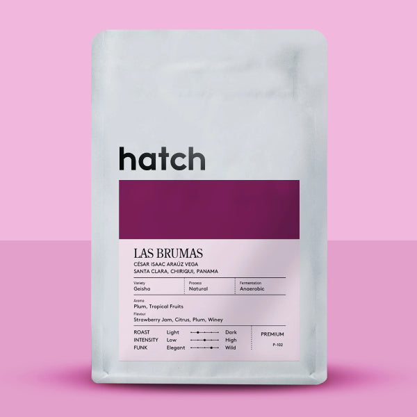 Hatch - Las Brumas