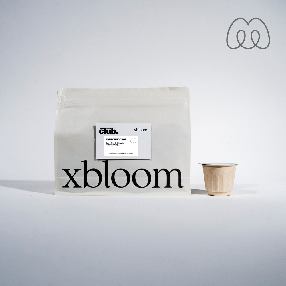 Photo of Monogram - Figgy Pudding xPod (Pack of 8) ( Default Title ) [ Monogram ] [ Coffee ]