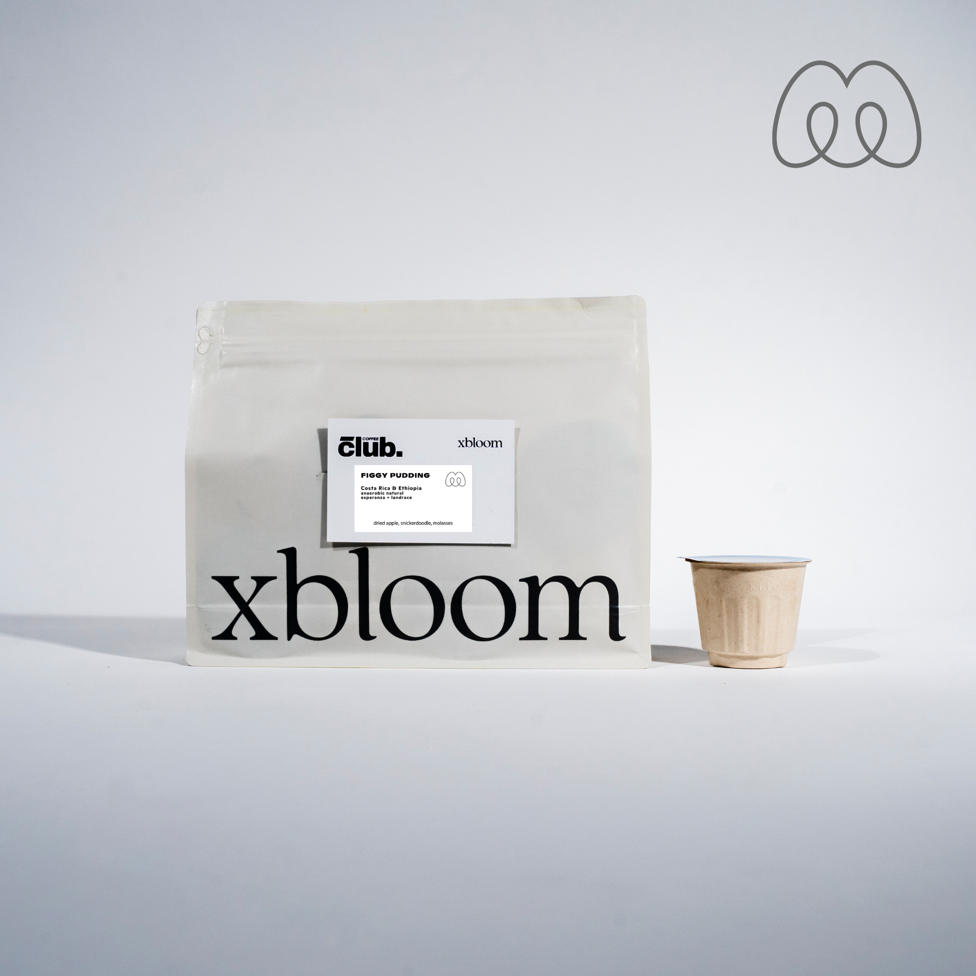 Monogram -  Figgy Pudding xPod (Pack of 8)