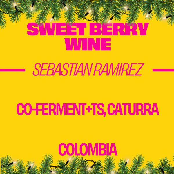 Sorellina - Sweet Berry Wine