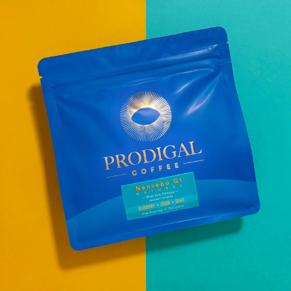Prodigal - Nensebo G1
