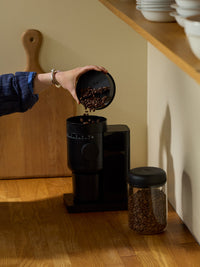 Photo of FELLOW Opus 2 Conical Burr Grinder (120V) ( ) [ Fellow ] [ Electric Grinders ]