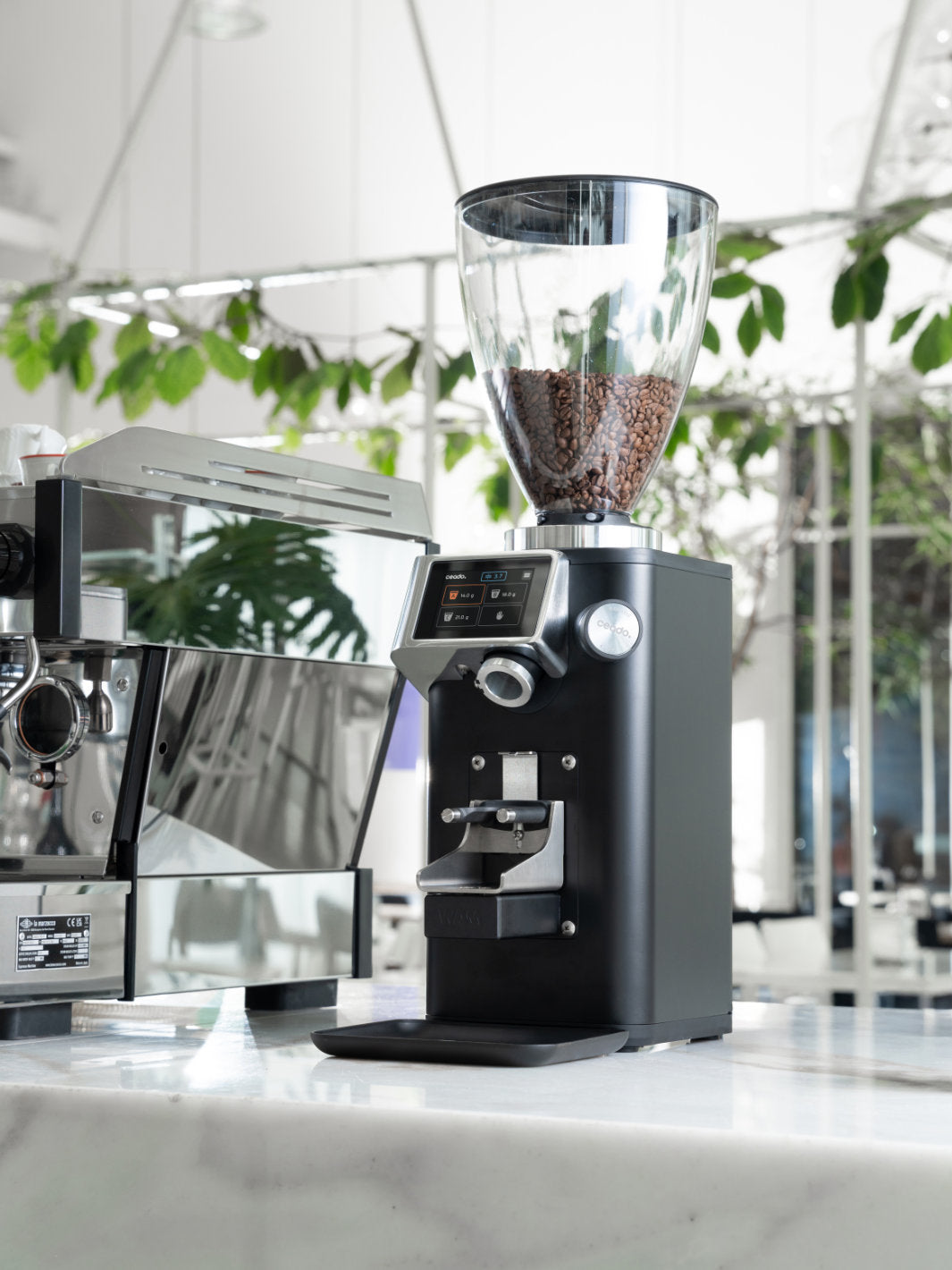 CEADO Rev Titan Espresso Grinder (120V) (⌀83mm) (w/ WAM Module + Iron Candy Burrs)