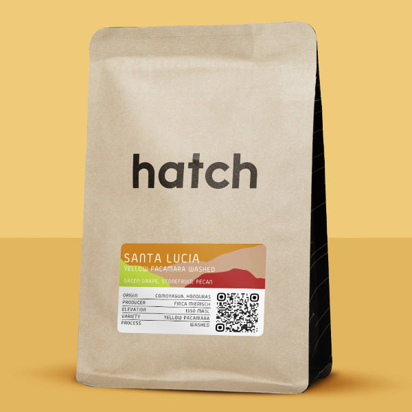 Photo of Hatch - Santa Lucia: Yellow Pacamara ( Default Title ) [ Hatch ] [ Coffee ]