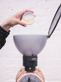 Photo of URNEX Grindz Grinder Cleaner (430g/15.2oz) ( ) [ Urnex ] [ Cleaners ]