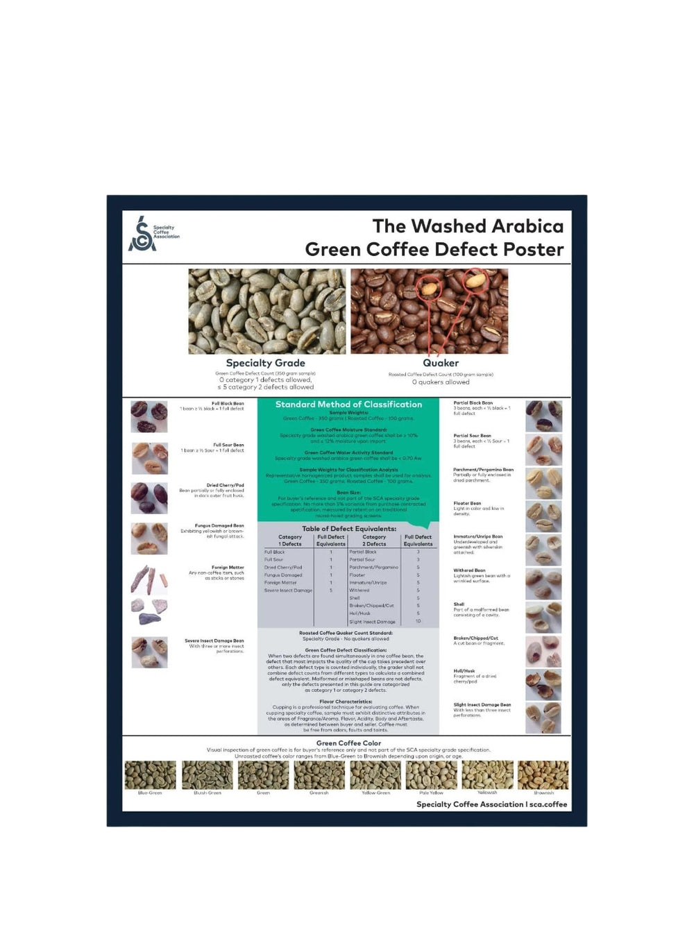 SCA Washed Arabica Green Coffee Defect Poster