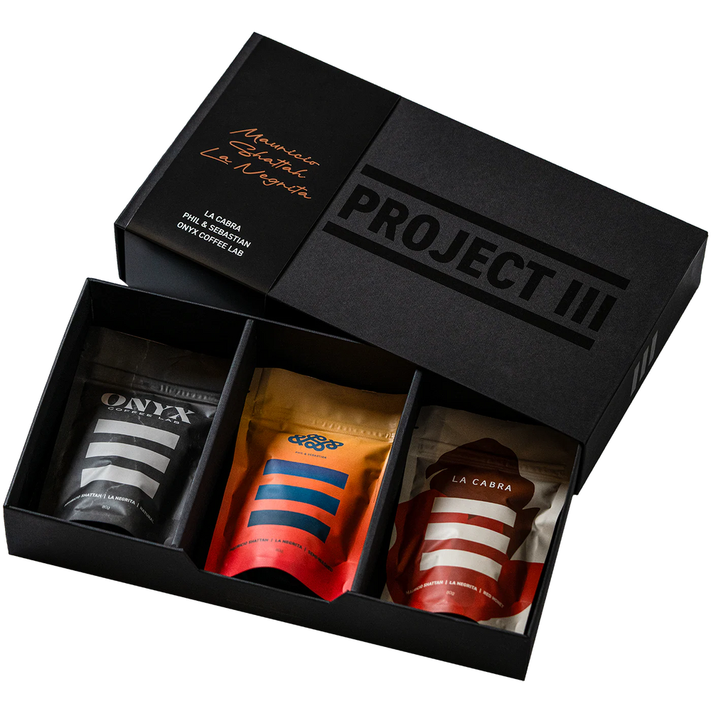 Phil & Sebastian - Project III