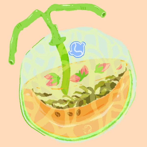 Hydrangea - Rose Tea