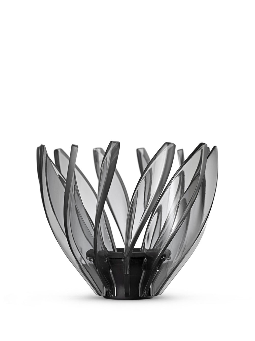 HARIO V60-02 Suiren Dripper