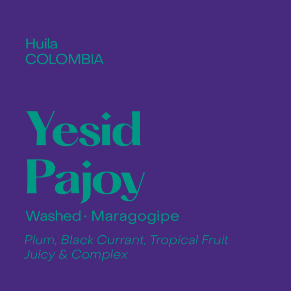 Subtext - Yesid Pajoy