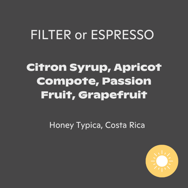 Fritz Coffee - San Isidro Labrador Typica