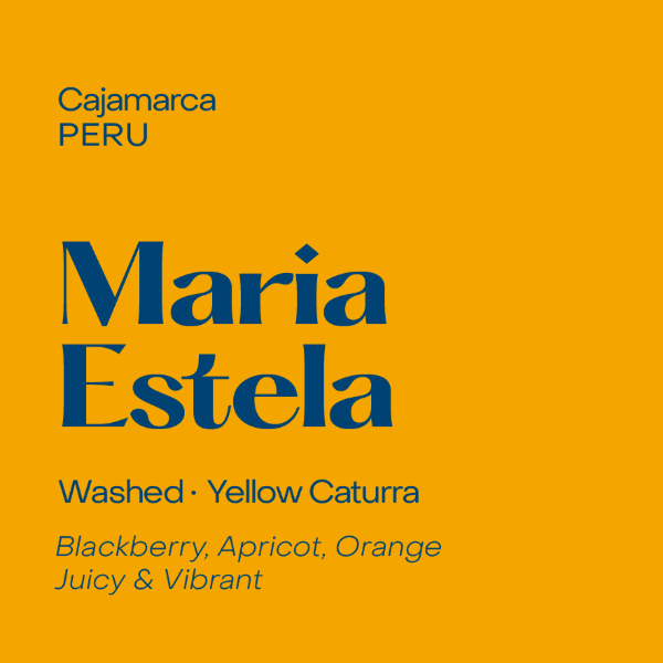 Subtext - Maria Estela