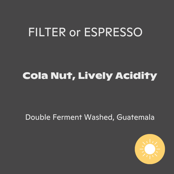 Fernwood - Guatemala: Punta Del Cerro Double Fermented