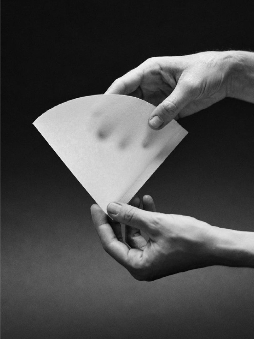 SIBARIST CONE Specialty Coffee Filters