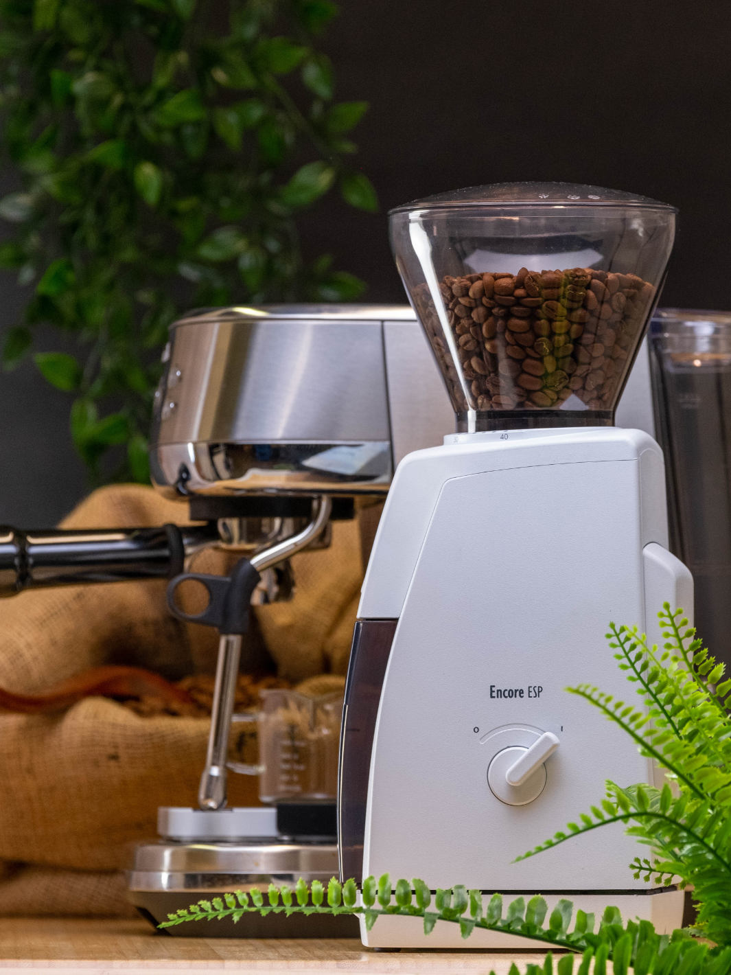 BARATZA Encore™ ESP Coffee Grinder (120V)