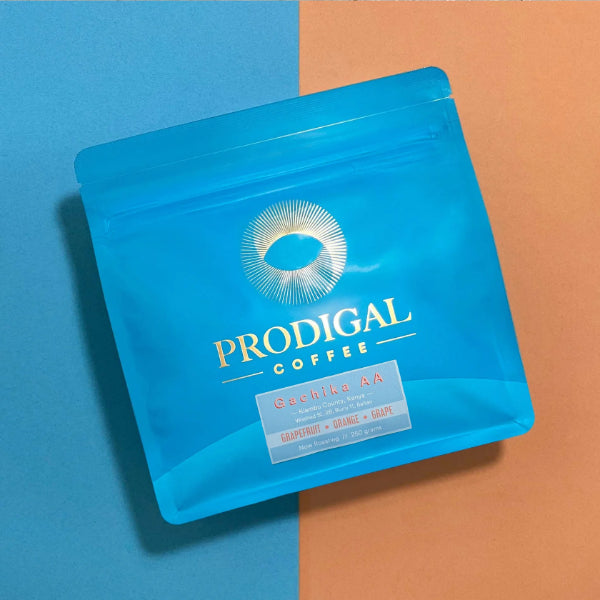 Prodigal - Gachika AA