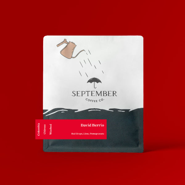 September - David Berrio
