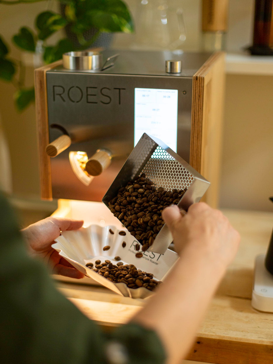 ROEST S100 Coffee Roaster