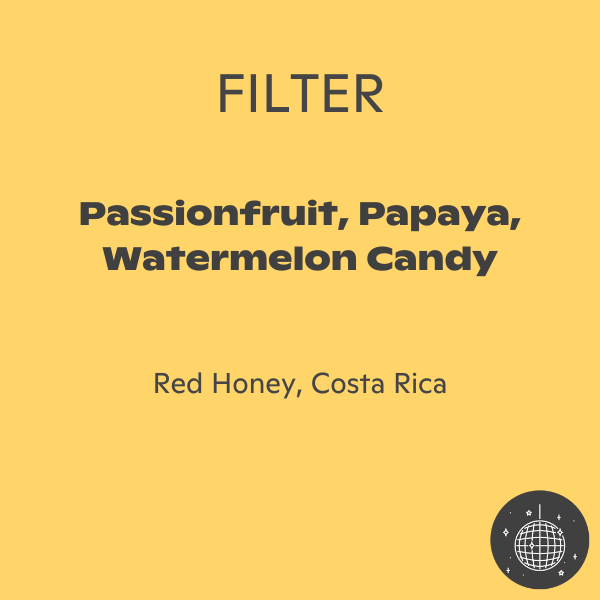 Photo of Phil & Sebastian - La Lia Typica Amarillo Red Honey ( ) [ Phil & Sebastian Coffee Roasters ] [ Coffee ]