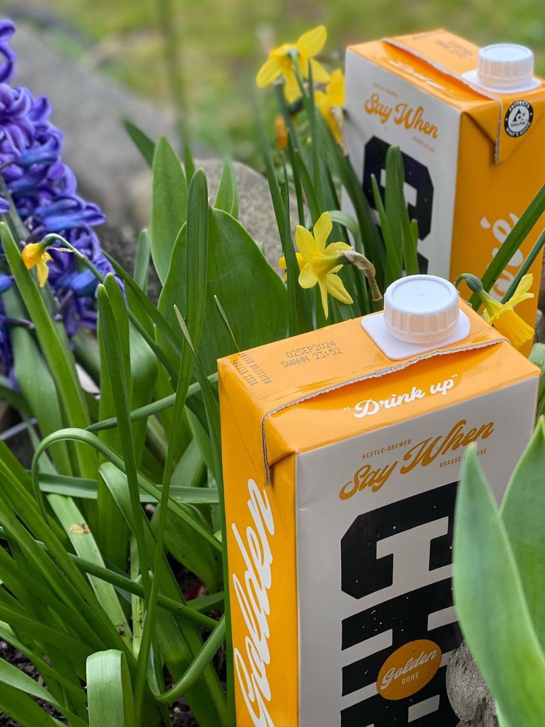 SAY WHEN Golden Chai Concentrate