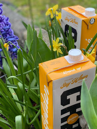 Photo of SAY WHEN Golden Chai Concentrate ( ) [ Say When ] [ Drink Concentrate ]