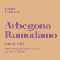 Photo of Subtext - Arbegona Rumadamo: Natural ( ) [ Subtext Coffee Roasters ] [ Coffee ]
