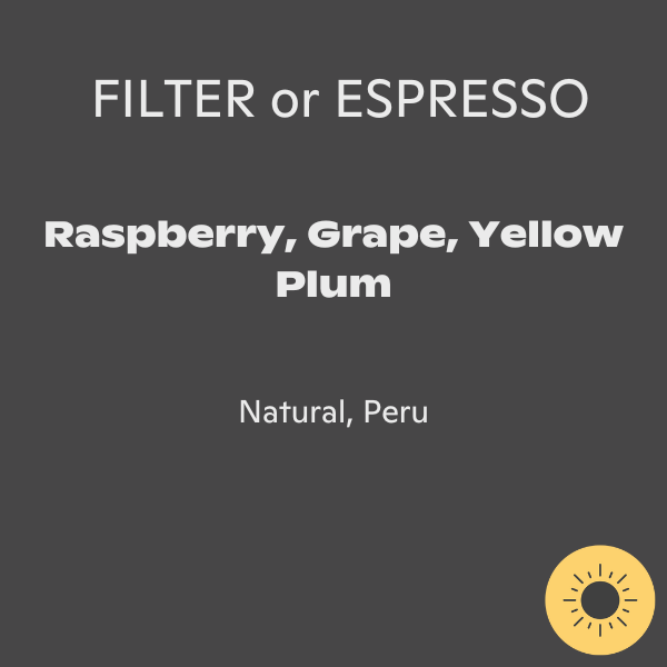 Cupping Room - La Huaca Caturra #4