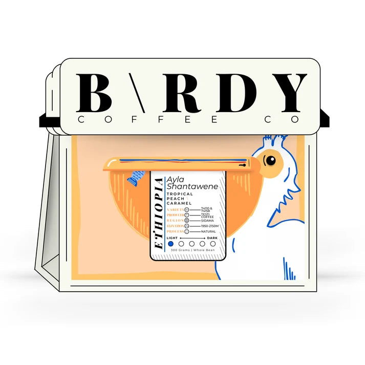Birdy Coffee Co - Ayla Shantawene