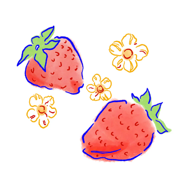 Photo of Hydrangea - Juicy Strawberry ( Default Title ) [ Hydrangea Coffee ] [ Coffee ]