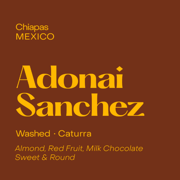 Subtext - Adonai Sanchez