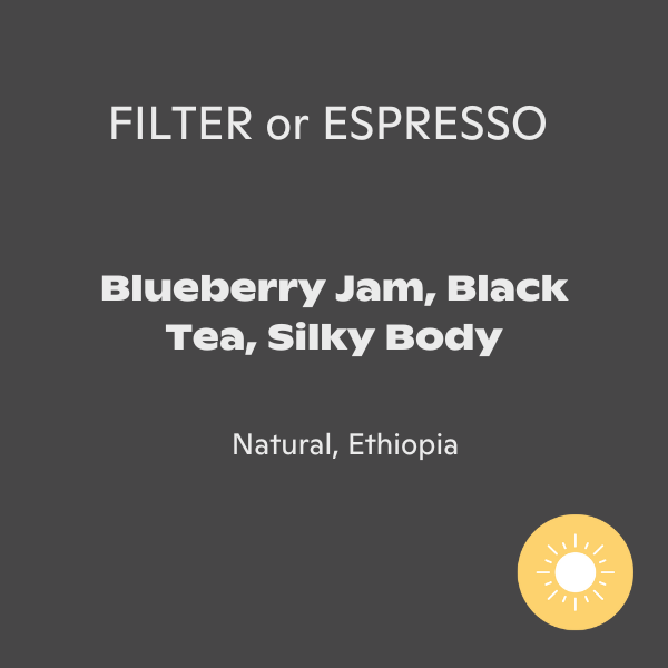 Fernwood - Ethiopia: Sidama Bombe Mountain