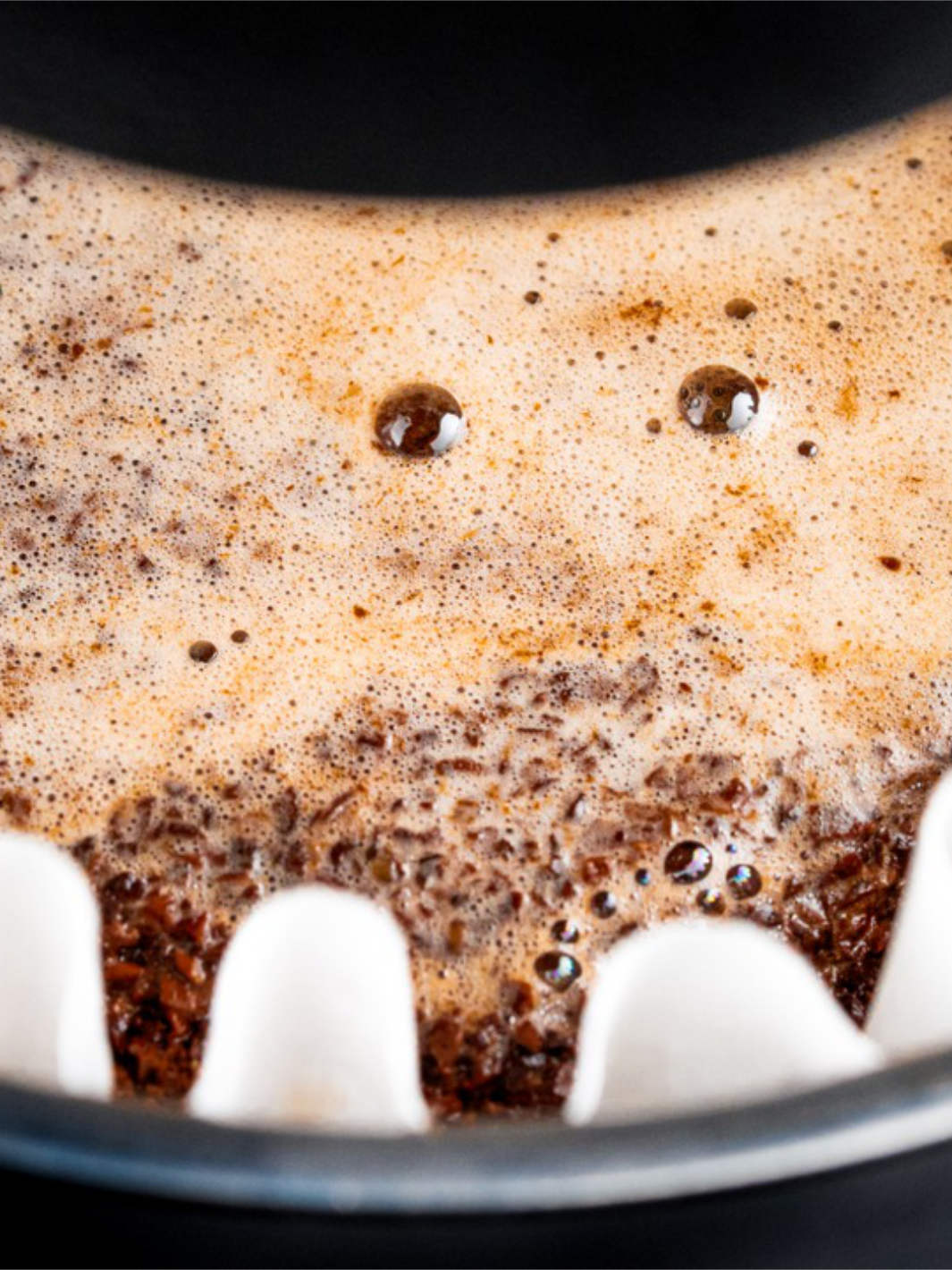 RATIO Eight Coffee Maker (120V) (Series 2)