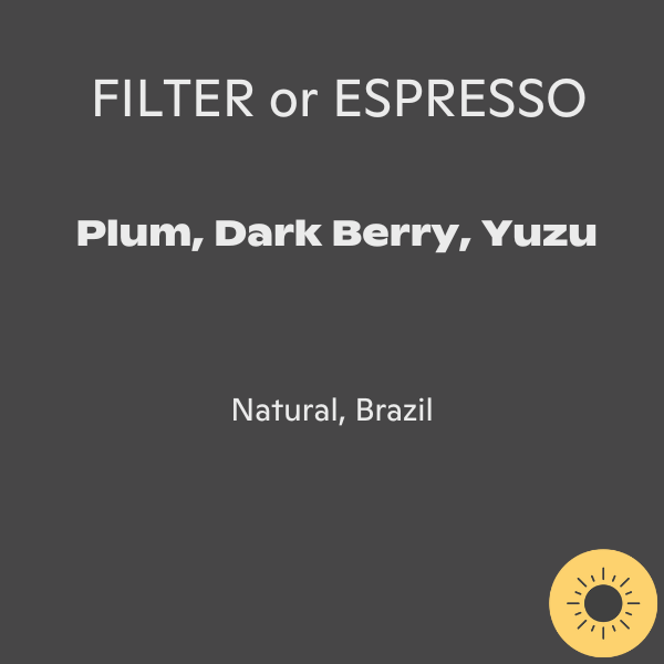 Cupping Room - Santuário Sul Geisha