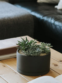 Photo of KINTO PLANT POT 191 (⌀170mm/6.8in) ( ) [ KINTO ] [ Plant Pots ]