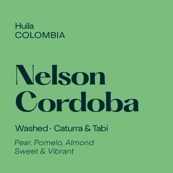 Subtext - Nelson Cordoba