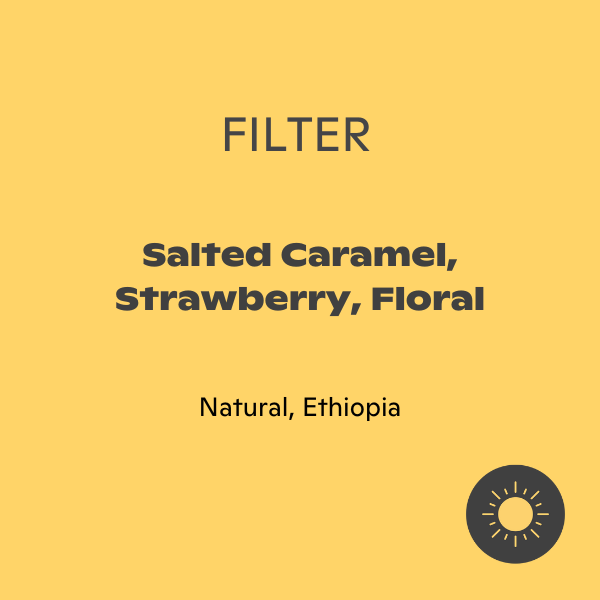 Photo of Friedhats - Sede Filter ( ) [ Friedhats ] [ Coffee ]