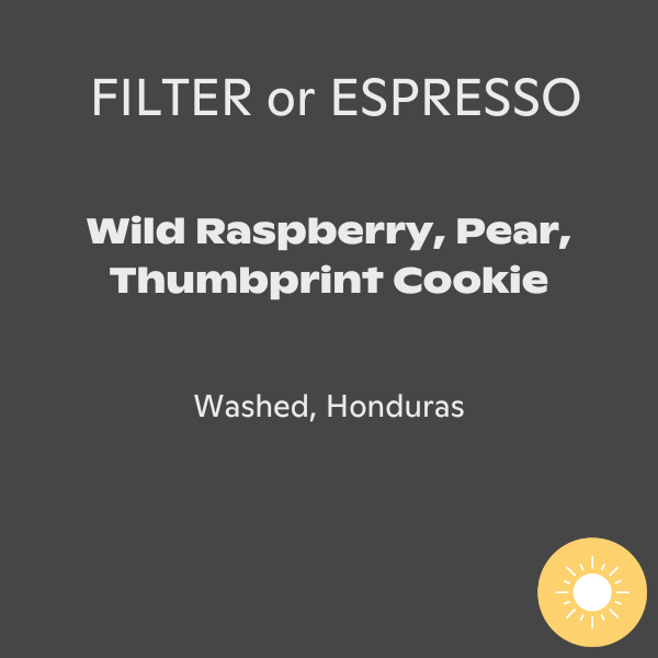 Luna Coffee - Kelvin Pineda