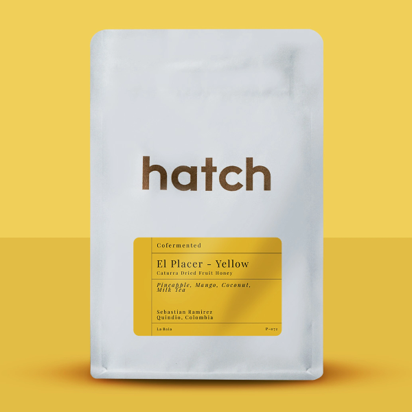 Photo of Hatch - El Placer: Yellow ( Default Title ) [ Hatch ] [ Coffee ]