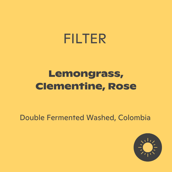 Phil & Sebastian - Jose Bolaños: DF Washed Geisha