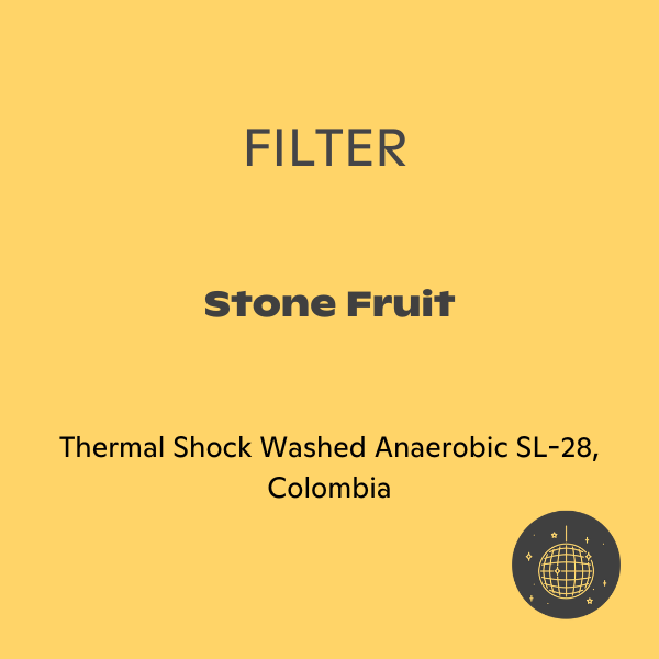 Photo of Sorellina - GP92 Varietal Series: SL-28 ( ) [ Sorellina ] [ Coffee ]