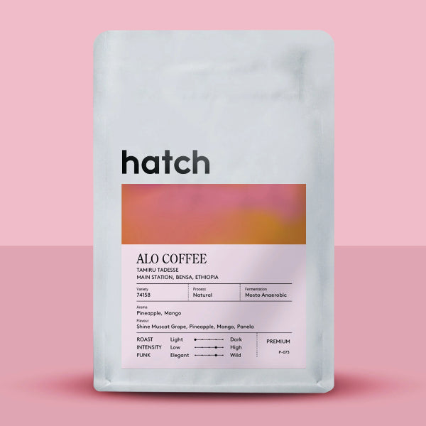 Hatch - Alo Coffee: Mosto Anaerobic Natural